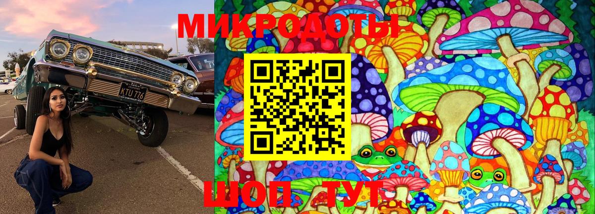 Галлюциногенные грибы GOLDEN TEACHER Ливны